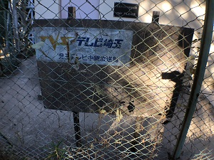 テレ玉看板