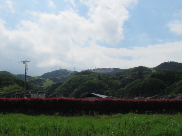 遠望撮影