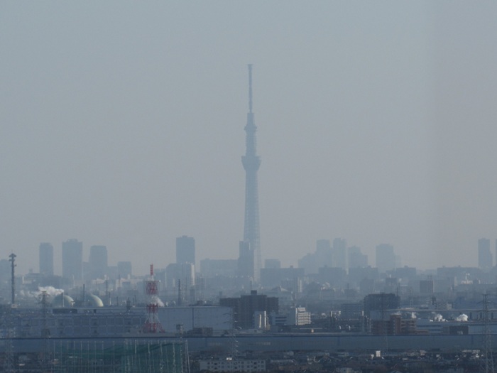 スカイツリー