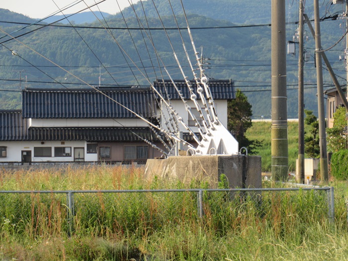 支線基部