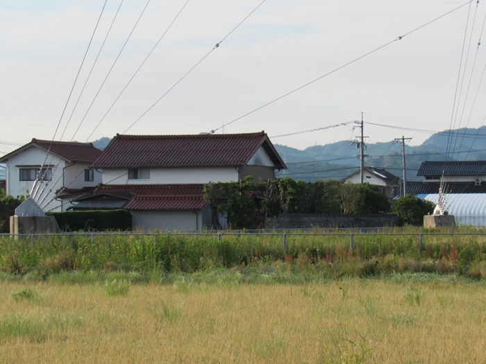 支線基部2