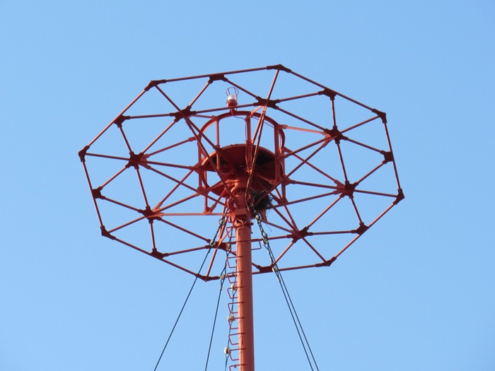 頂冠