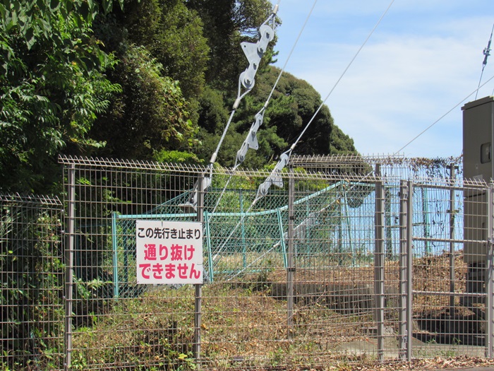 支線基部