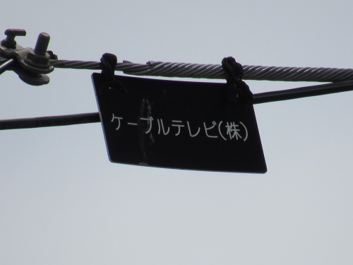 真名子SFMケーブル2