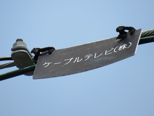 小野寺SFMケーブル2
