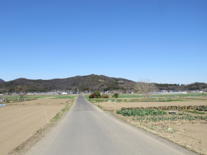 遠望撮影