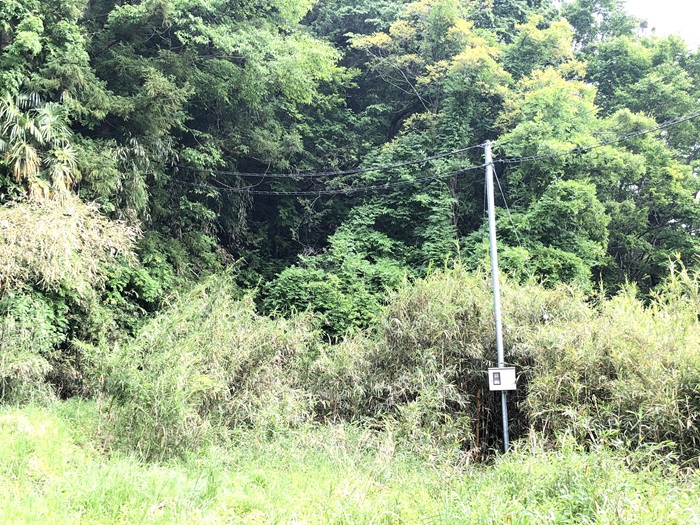 電気