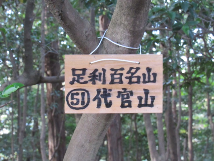 山頂表示3