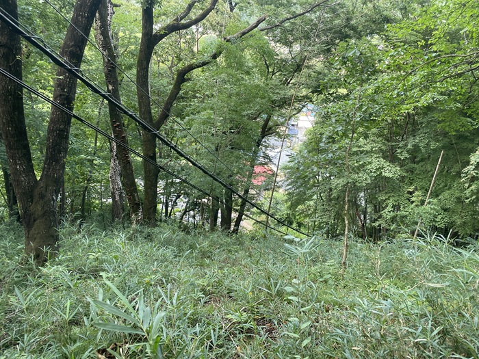 ケーブル