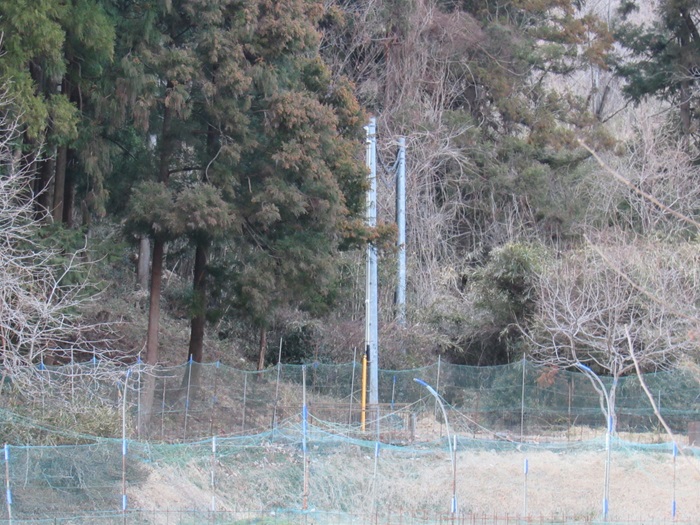 電気