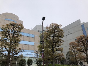 ビルの谷間3