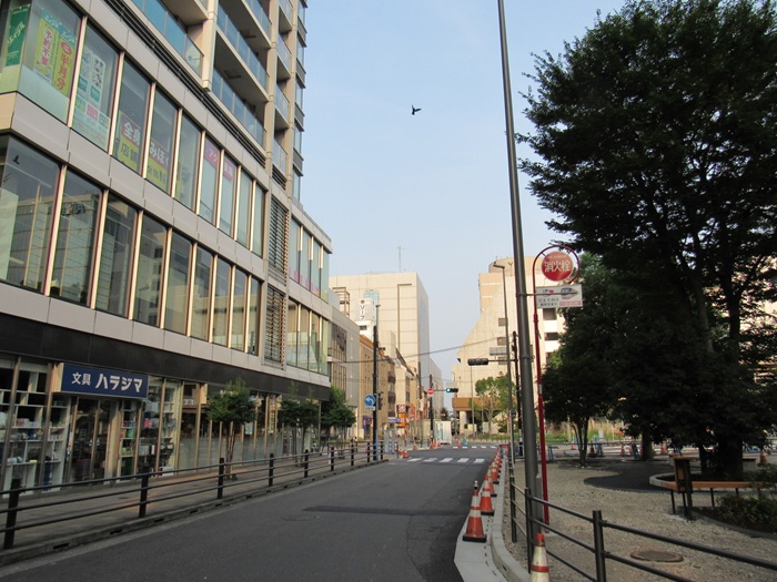 遠望