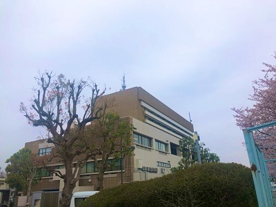 2020年03月31日訪問分