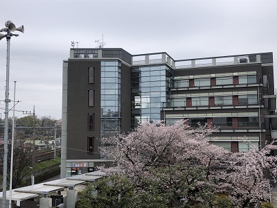 2020年03月31日訪問分