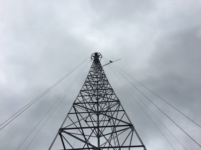 頂冠2