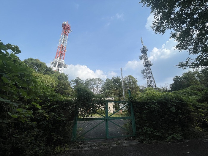 全体撮影3