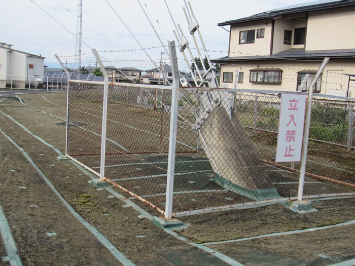 支線基部