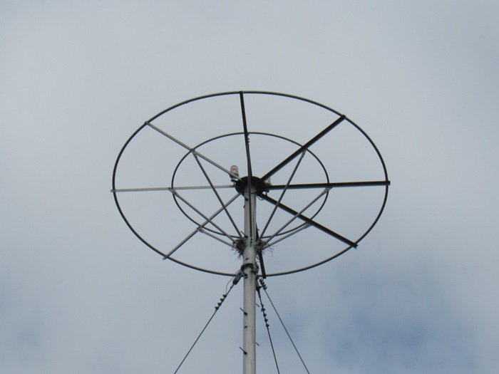 頂冠