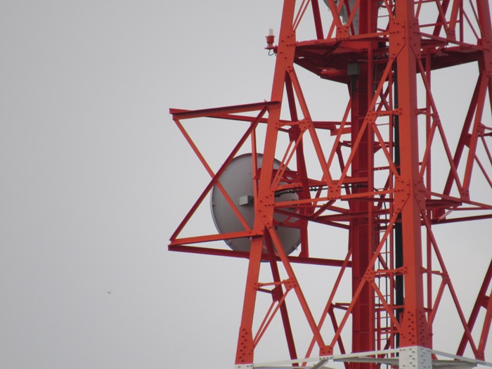 STL・TSLアンテナ2
