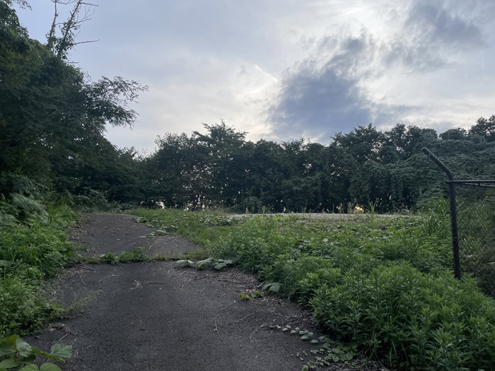 空き地