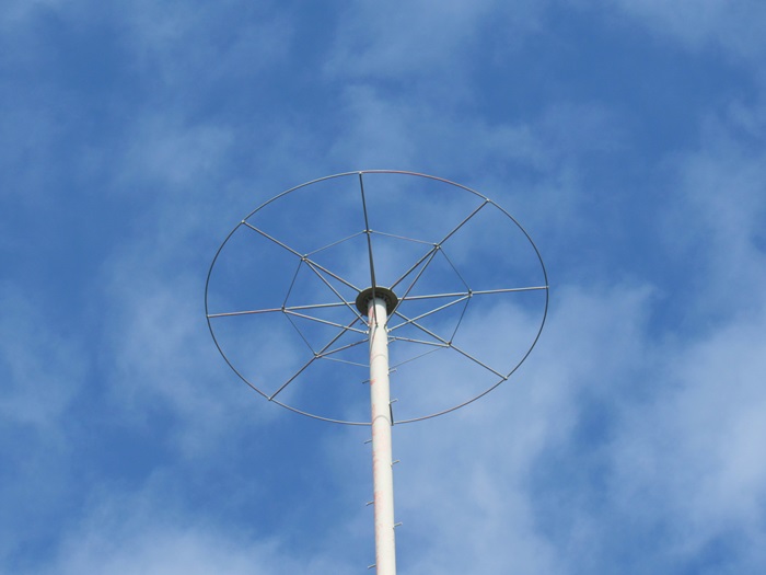 頂冠