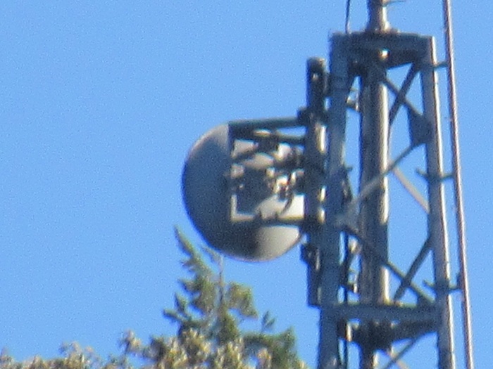 TTLアンテナ2