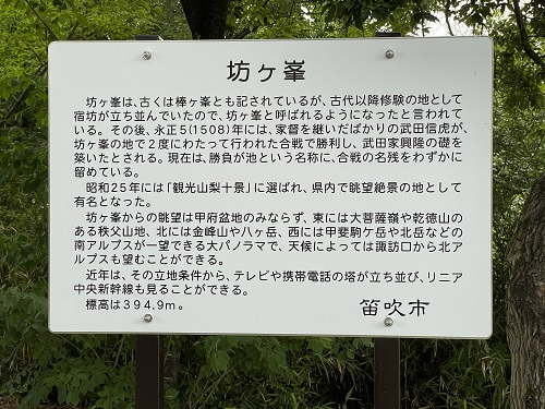 案内
