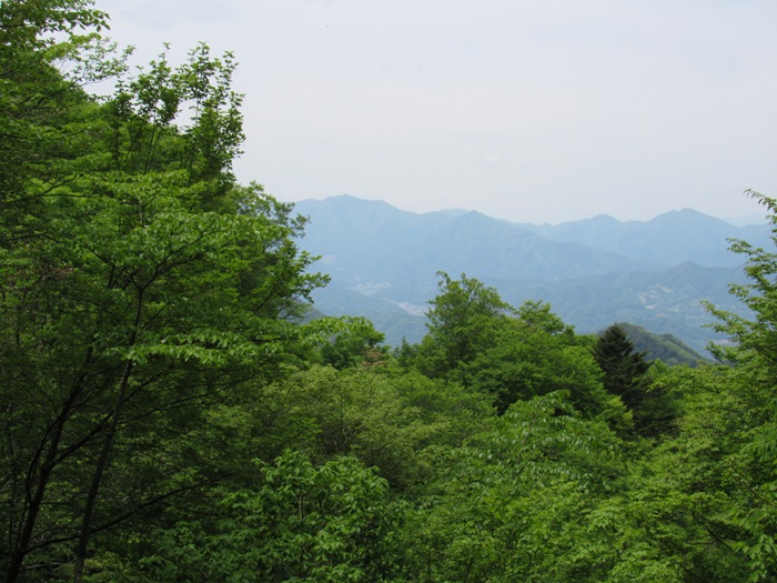遠望撮影