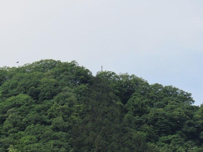 遠望撮影2
